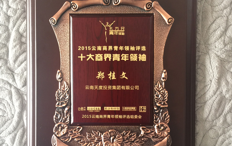在“互聯(lián)網(wǎng)大時代”的背景下，天度作為本土很大和很有名的互聯(lián)網(wǎng)服務企業(yè)，為近萬家傳統(tǒng)企業(yè)轉(zhuǎn)型互聯(lián)網(wǎng)+提供了服務和幫助，獲此獎項后，我們將再接再厲，創(chuàng)造更高的社會價值
